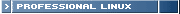 > PROFESSIONAL LINUX