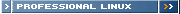> PROFESSIONAL LINUX