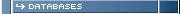-> DATABASES