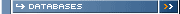 -> DATABASES