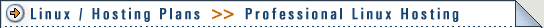 > Linux / Hosting Plans >> Professional Linux Hosting
