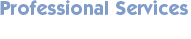 professional services